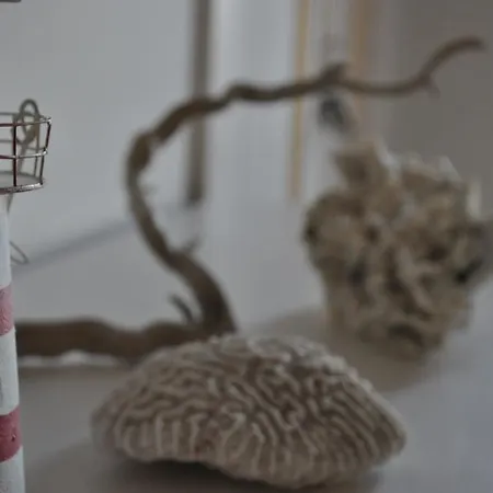 Relais Borgo Sul Mare - Ospitalita Diffusa Silvi Pensjonat Silvi Paese